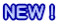 NEWI
